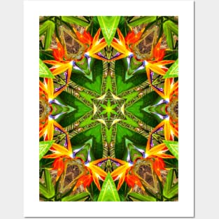 Canna flower pattern resembling the beak of a bird Posters and Art